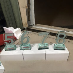 Kỷ niệm chương mẫu số 5