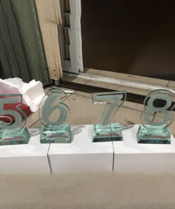 Kỷ niệm chương mẫu số 5