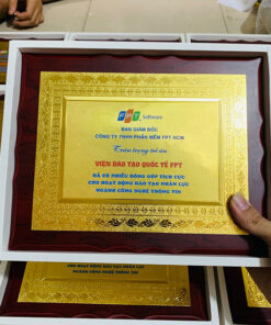 Bằng khen gỗ đồng