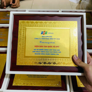 Bằng khen gỗ đồng