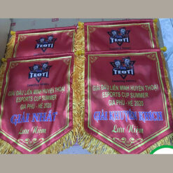 Cờ Lưu Niệm Esport