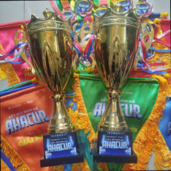 Cúp bóng đá kim loại