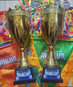 Cúp bóng đá kim loại