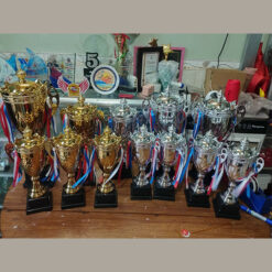 Cúp thể thao cao cấp