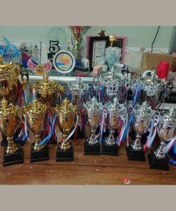 Cúp thể thao cao cấp