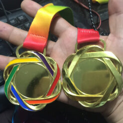 Huy chương hội khỏe phù đổng