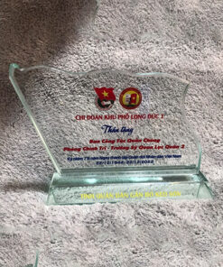 Kỷ niệm chương chi đoàn khu phố