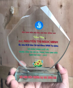 Kỷ niệm chương hội sinh viên