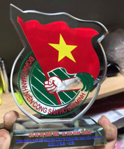 Kỷ niệm chương huy hiệu đoàn