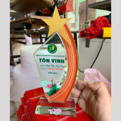 Kỷ niệm chương tôn vinh