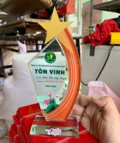 Kỷ niệm chương tôn vinh