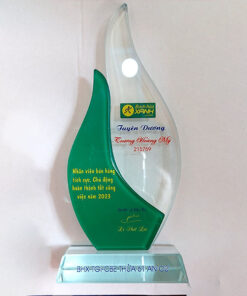 Kỷ niệm chương tuyên dương