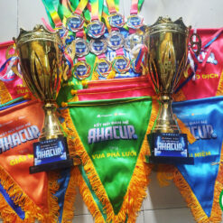 co-luu-niem-da-bong-nhon