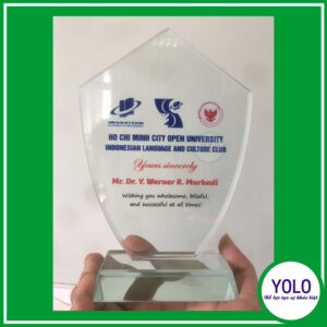 Kỷ niệm chương loại 10 ly