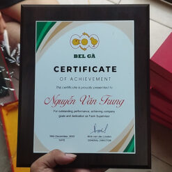 In kỷ niệm chương gỗ