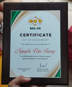 In kỷ niệm chương gỗ