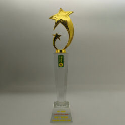 Kỷ niệm chương pha lê mạ vàng