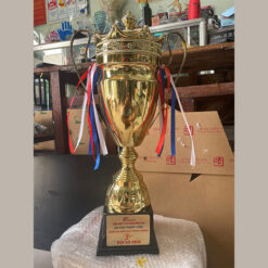Cúp kim loại thể thao 52cm