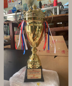 Cúp kim loại thể thao 52cm