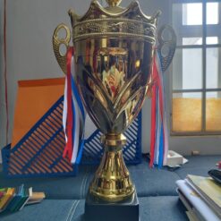 Cúp thể thao kim loại