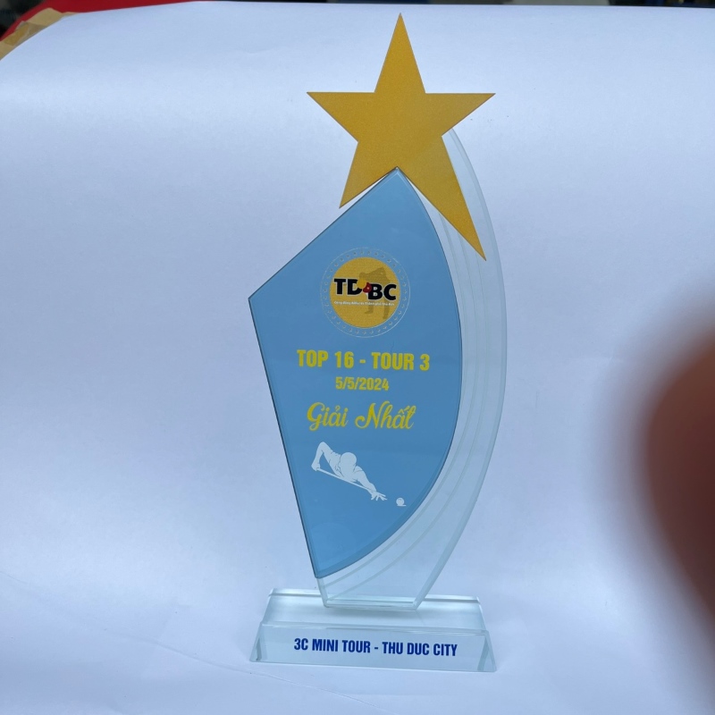 Kỷ niệm chương bida thiết kế theo yêu cầu Kỷ niệm chương bida thiết kế theo yêu cầu