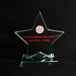 Kỷ niệm chương ngôi sao