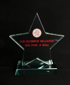 Kỷ niệm chương ngôi sao