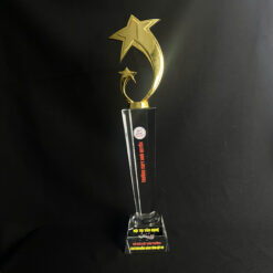 Cúp pha lê cao cấp