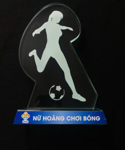 Cúp giải bóng đá nữ