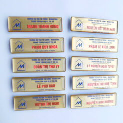 Huy hiệu kim loại trường học - phủ keo