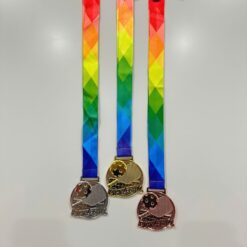 Huy chương giải bộ môn pickleball