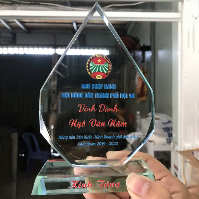 Kỷ niệm chương giá rẻ