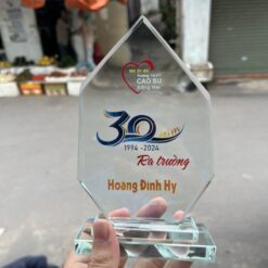 Mẫu kỷ niệm chương giá rẻ