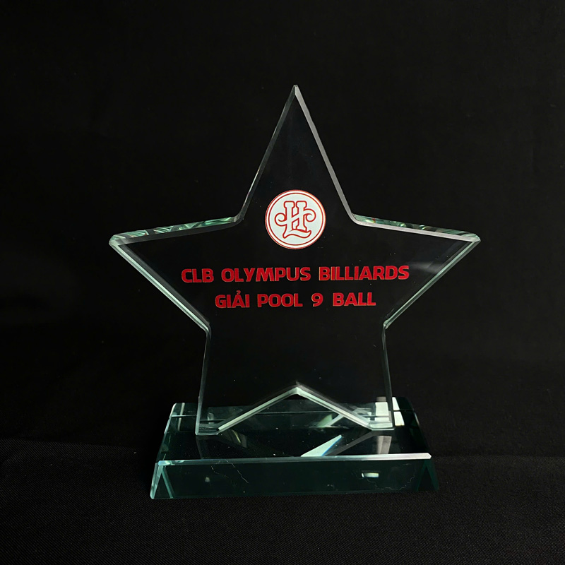 Kỷ niệm chương ngôi sao