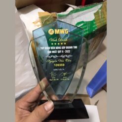 Kỷ niệm chương khen tặng cuối năm