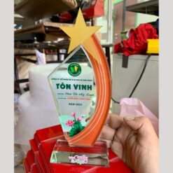 Mẫu kỷ niệm chương đẹp