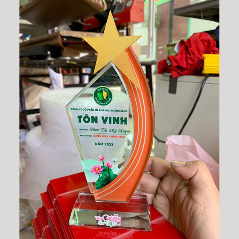 ky-niem-chuong-ton-vinh Mẫu kỷ niệm chương đẹp