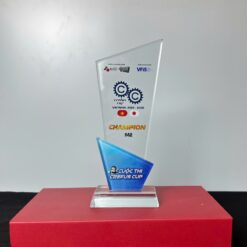 Mẫu cup lưu niệm thủy tinh cuối năm