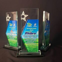 Mẫu cup thủy tinh lưu niệm cuối năm