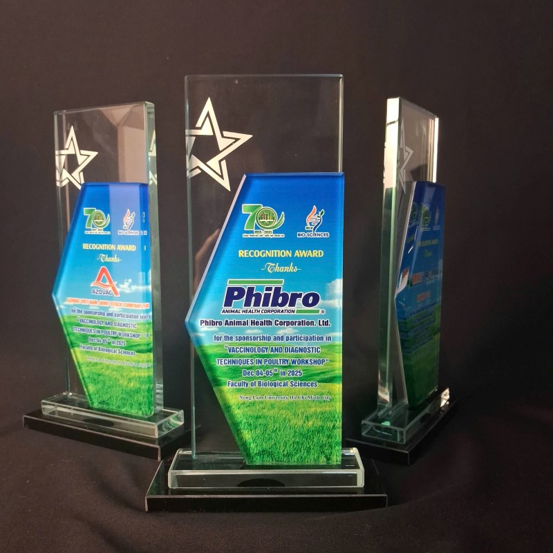 san-xuat-cup-thuy-tinh-theo-yeu-cau Mẫu cup thủy tinh lưu niệm cuối năm