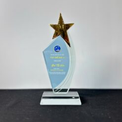 Cup vinh danh cuối năm lấy gấp theo yêu cầu