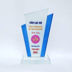 Kỷ niệm chương hội viên tiêu biểu