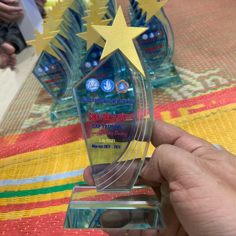 Kỷ niệm chương gắn ngôi sao tặng sinh viên 5 tốt