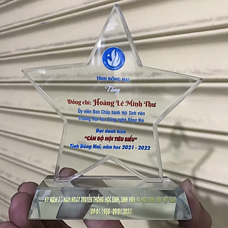 Kỷ niệm chương ngôi sao