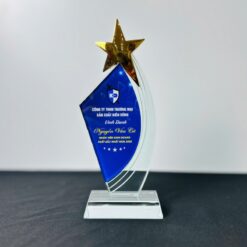 Kỷ niệm chương gắn ngôi sao đẹp