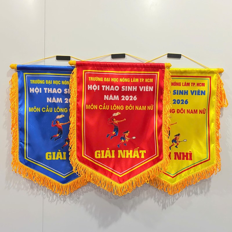 cờ giải đại hội thể dục thể thao