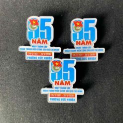 Huy hiệu đoàn 95 năm