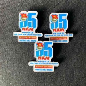 Huy hiệu đoàn 95 năm